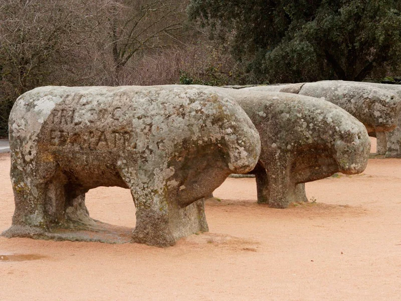 TOROS DE GUISANDO miniatura 2