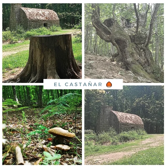 EL CASTAÑAR miniatura 3