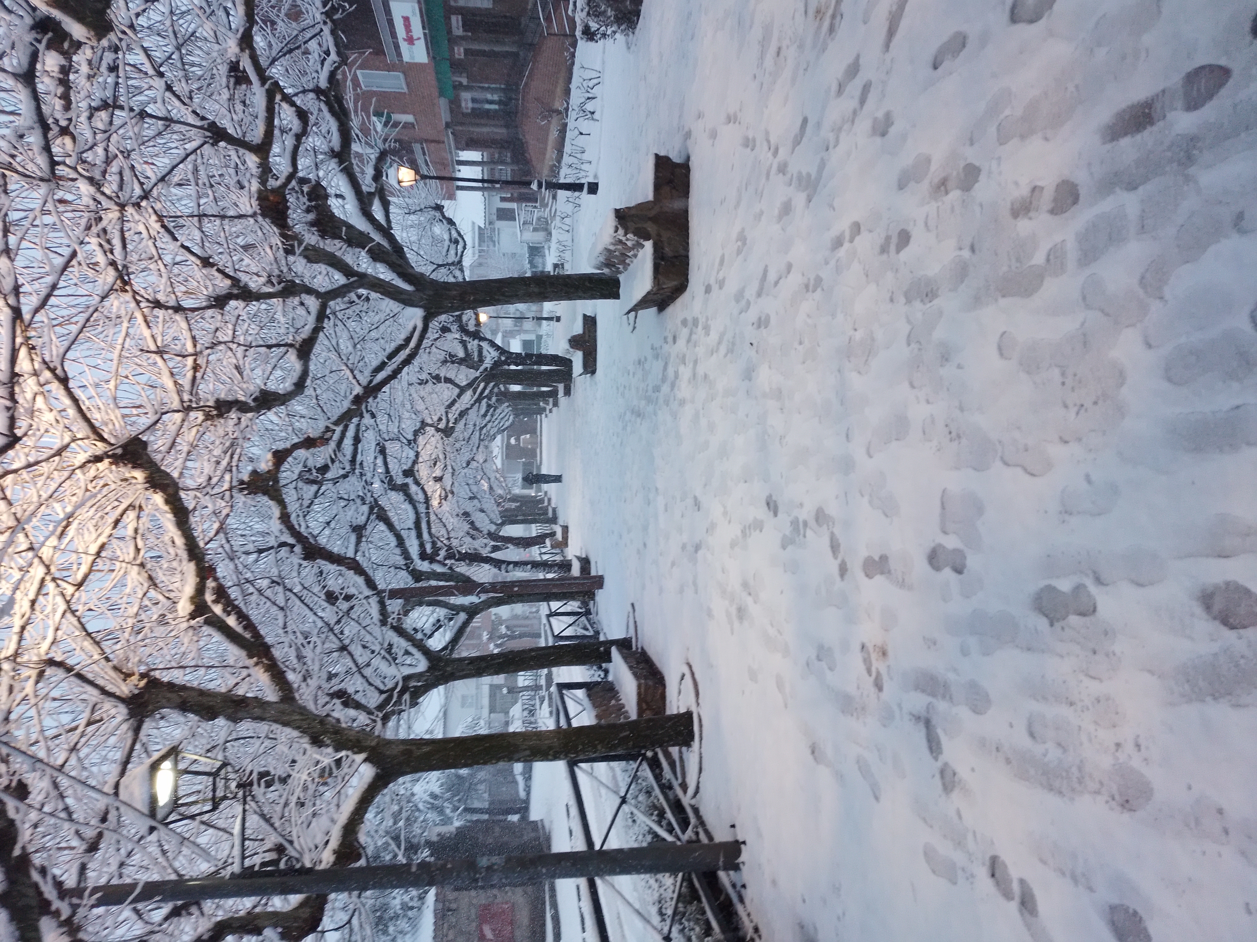 La magia del invierno en recoletos